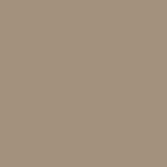 Levis Essentials kleur: Almond Brown