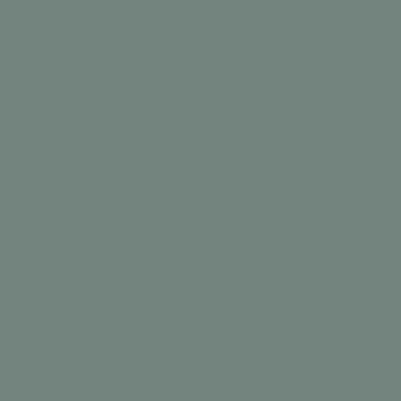 Levis Essentials kleur: Herbal Green