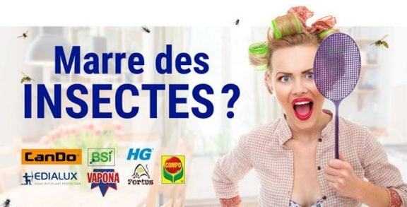 Lutte contre les insectes