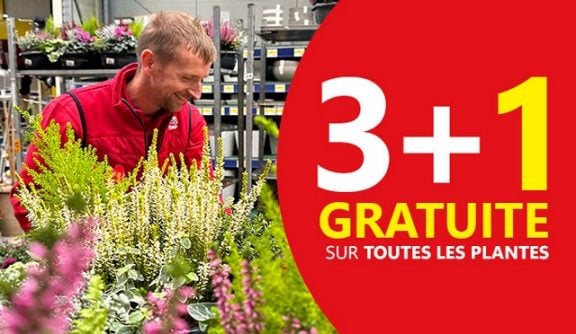 Les jardinières